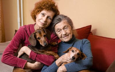 Paws for Comfort: The Benefits of Pet Therapy in Hospice Care