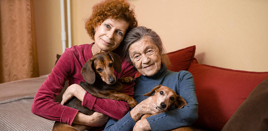 Paws for Comfort: The Benefits of Pet Therapy in Hospice Care